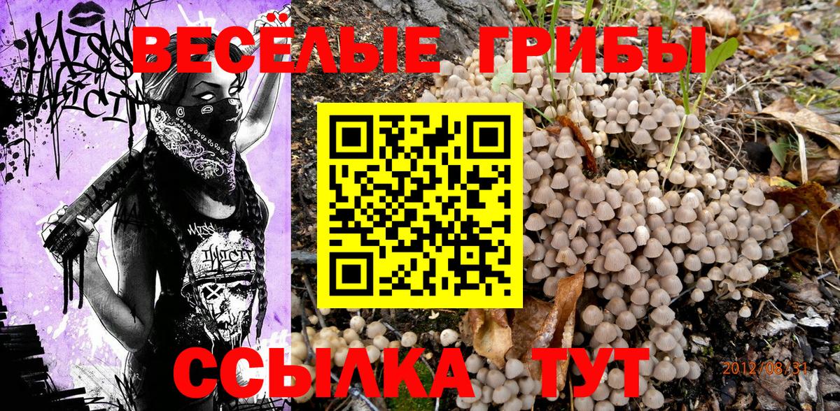 Стрежевой  закладки  Вход с VPN  Псилоцибиновые грибы Psilocybine cubensis 